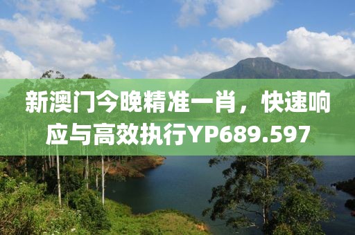 新澳門今晚精準(zhǔn)一肖，快速響應(yīng)與高效執(zhí)行YP689.597