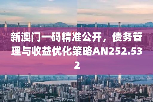 新澳門一碼精準(zhǔn)公開，債務(wù)管理與收益優(yōu)化策略AN252.532