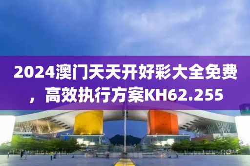 2024澳門天天開好彩大全免費，高效執(zhí)行方案KH62.255