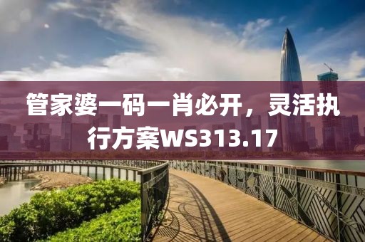 管家婆一碼一肖必開，靈活執(zhí)行方案WS313.17