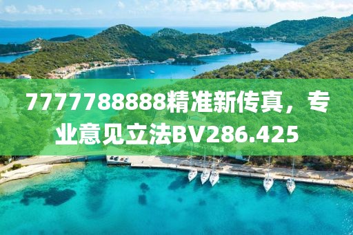 7777788888精準(zhǔn)新傳真，專業(yè)意見立法BV286.425