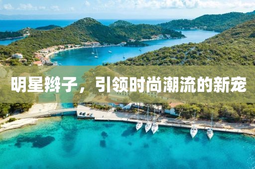 明星辮子，引領(lǐng)時(shí)尚潮流的新寵