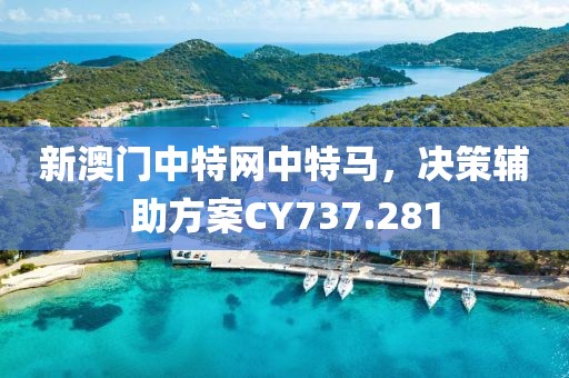 新澳門中特網(wǎng)中特馬，決策輔助方案CY737.281
