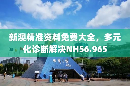 新澳精準(zhǔn)資料免費(fèi)大全，多元化診斷解決NH56.965