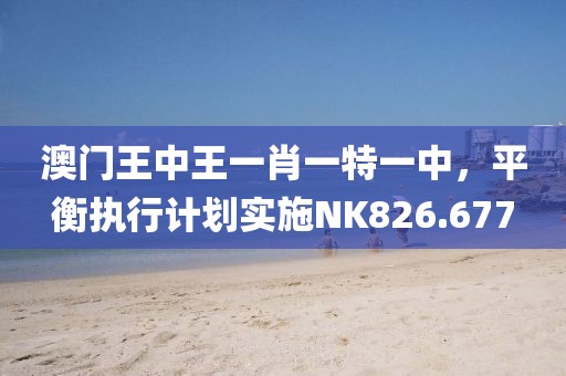 澳門王中王一肖一特一中，平衡執(zhí)行計劃實施NK826.677