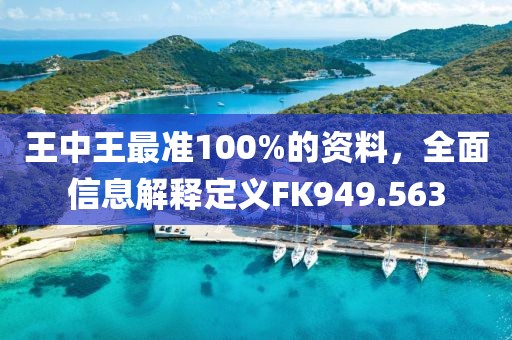 王中王最準100%的資料，全面信息解釋定義FK949.563