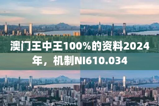 澳門王中王100%的資料2024年，機(jī)制NI610.034