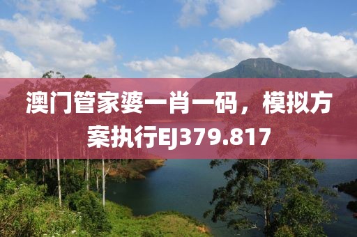 澳門管家婆一肖一碼，模擬方案執(zhí)行EJ379.817