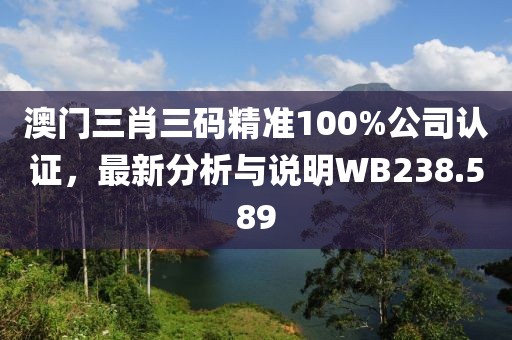 澳門三肖三碼精準(zhǔn)100%公司認(rèn)證，最新分析與說明WB238.589