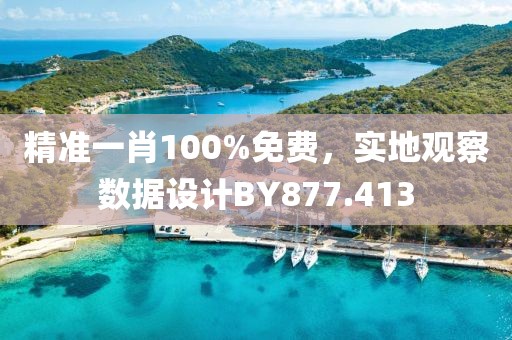 精準(zhǔn)一肖100%免費(fèi)，實(shí)地觀察數(shù)據(jù)設(shè)計(jì)BY877.413