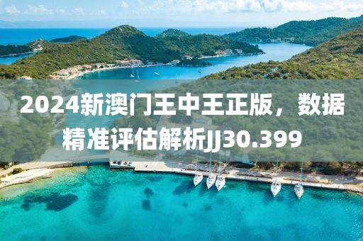 2024新澳門王中王正版，數(shù)據(jù)精準(zhǔn)評(píng)估解析JJ30.399
