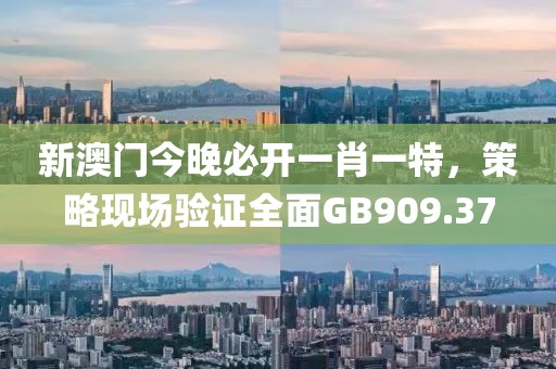 新澳門今晚必開一肖一特，策略現(xiàn)場驗(yàn)證全面GB909.37