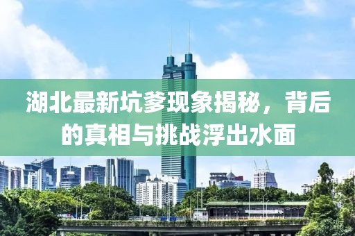 湖北最新坑爹現(xiàn)象揭秘，背后的真相與挑戰(zhàn)浮出水面
