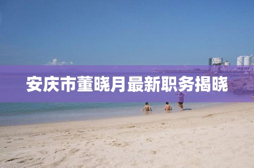 安慶市董曉月最新職務(wù)揭曉