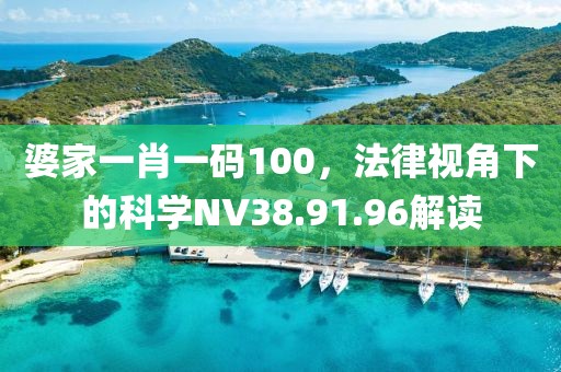 婆家一肖一碼100，法律視角下的科學NV38.91.96解讀