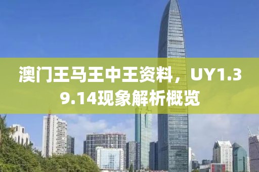 澳門(mén)王馬王中王資料，UY1.39.14現(xiàn)象解析概覽