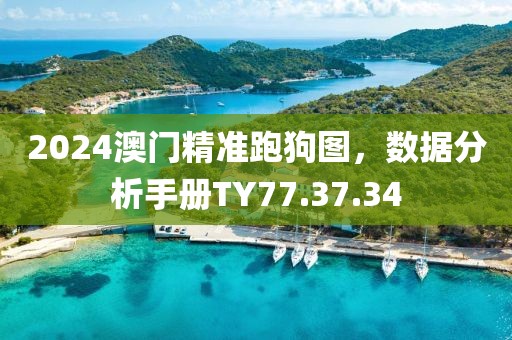 2024澳門精準(zhǔn)跑狗圖，數(shù)據(jù)分析手冊TY77.37.34