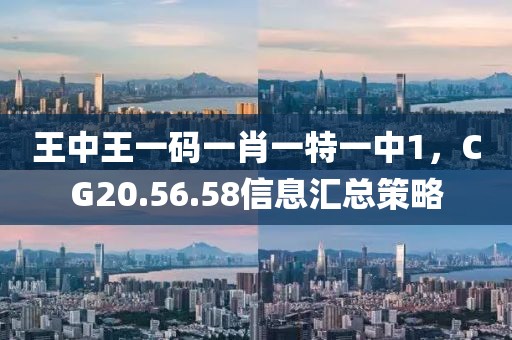 王中王一碼一肖一特一中1，CG20.56.58信息匯總策略