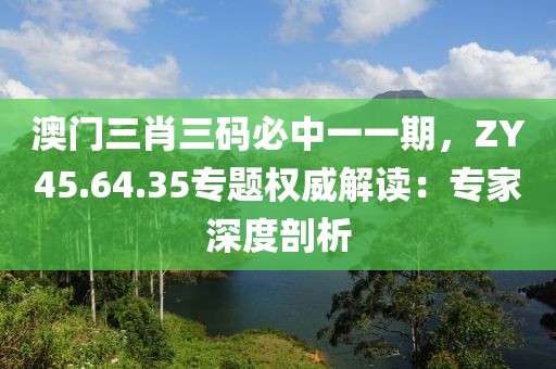 澳門三肖三碼必中一一期，ZY45.64.35專題權威解讀：專家深度剖析