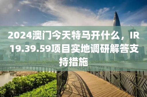 2024澳門今天特馬開什么，IR19.39.59項目實地調(diào)研解答支持措施