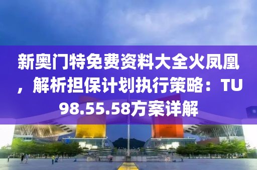 新奧門特免費資料大全火鳳凰，解析擔保計劃執(zhí)行策略：TU98.55.58方案詳解