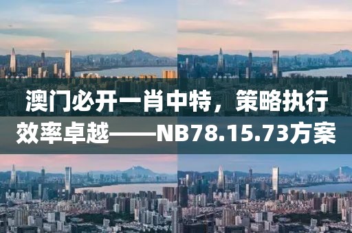 澳門必開一肖中特，策略執(zhí)行效率卓越——NB78.15.73方案