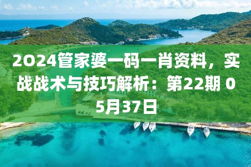 2O24管家婆一碼一肖資料，實(shí)戰(zhàn)戰(zhàn)術(shù)與技巧解析：第22期 05月37日