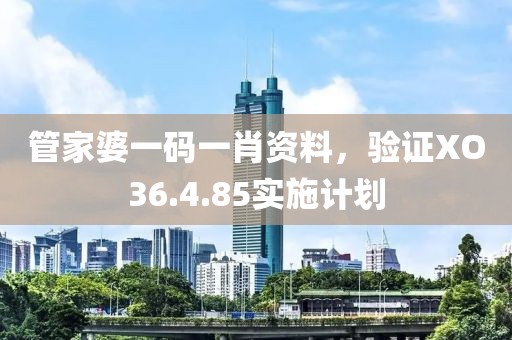 管家婆一碼一肖資料，驗證XO36.4.85實施計劃