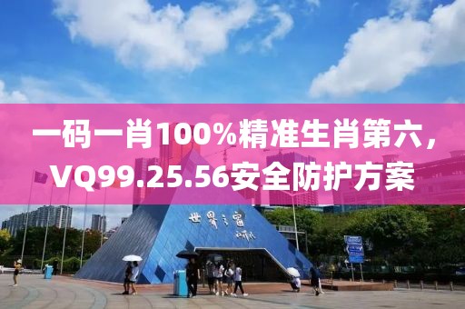 一碼一肖100%精準(zhǔn)生肖第六，VQ99.25.56安全防護(hù)方案