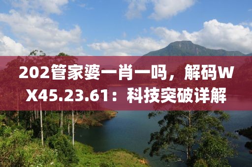 202管家婆一肖一嗎，解碼WX45.23.61：科技突破詳解