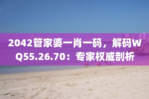 2042管家婆一肖一碼，解碼WQ55.26.70：專家權(quán)威剖析