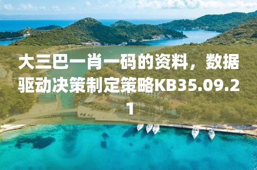 大三巴一肖一碼的資料，數(shù)據(jù)驅(qū)動決策制定策略KB35.09.21