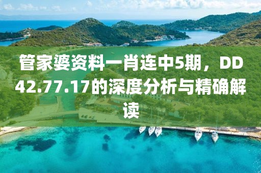 管家婆資料一肖連中5期，DD42.77.17的深度分析與精確解讀