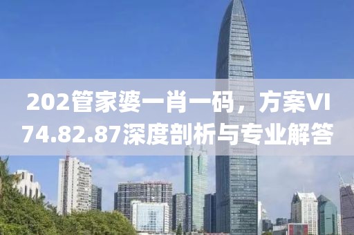 202管家婆一肖一碼，方案VI74.82.87深度剖析與專業(yè)解答