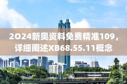 2O24新奧資料免費(fèi)精準(zhǔn)109，詳細(xì)闡述XB68.55.11概念