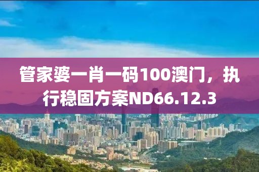 管家婆一肖一碼100澳門，執(zhí)行穩(wěn)固方案ND66.12.3