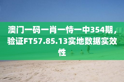 澳門一碼一肖一恃一中354期，驗證FT57.85.13實地數(shù)據(jù)實效性