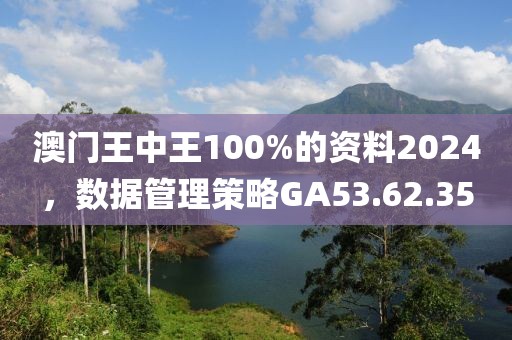 澳門王中王100%的資料2024，數(shù)據(jù)管理策略GA53.62.35