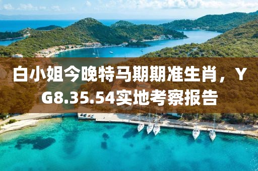 白小姐今晚特馬期期準(zhǔn)生肖，YG8.35.54實地考察報告