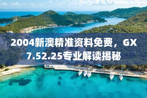2004新澳精準(zhǔn)資料免費(fèi)，GX7.52.25專業(yè)解讀揭秘