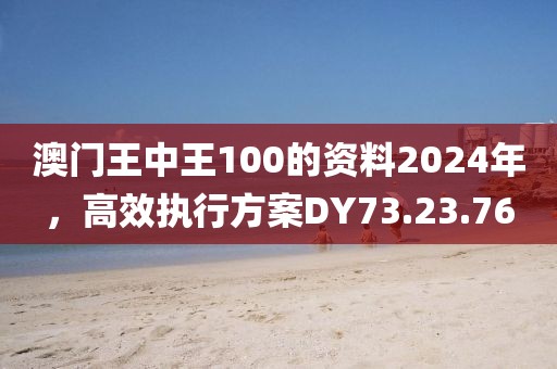 澳門王中王100的資料2024年，高效執(zhí)行方案DY73.23.76