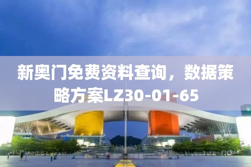 新奧門免費(fèi)資料查詢，數(shù)據(jù)策略方案LZ30-01-65