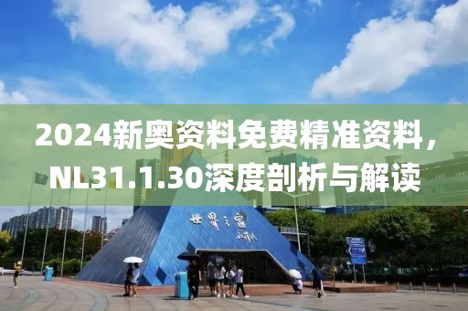 2024新奧資料免費(fèi)精準(zhǔn)資料，NL31.1.30深度剖析與解讀