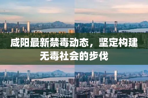 咸陽最新禁毒動態(tài)，堅定構建無毒社會的步伐