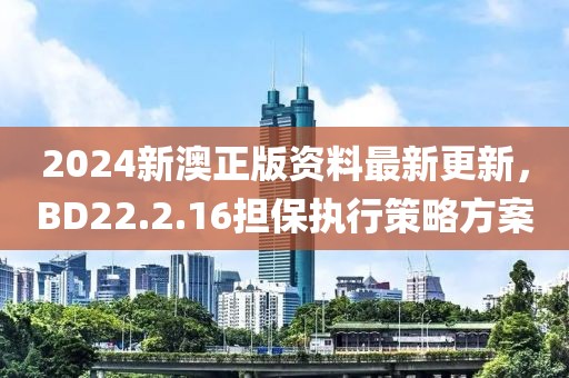 2024新澳正版資料最新更新，BD22.2.16擔(dān)保執(zhí)行策略方案
