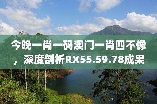 今晚一肖一碼澳門一肖四不像，深度剖析RX55.59.78成果