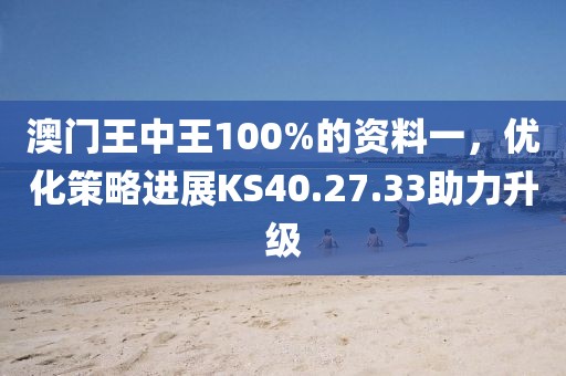 澳門王中王100%的資料一，優(yōu)化策略進展KS40.27.33助力升級