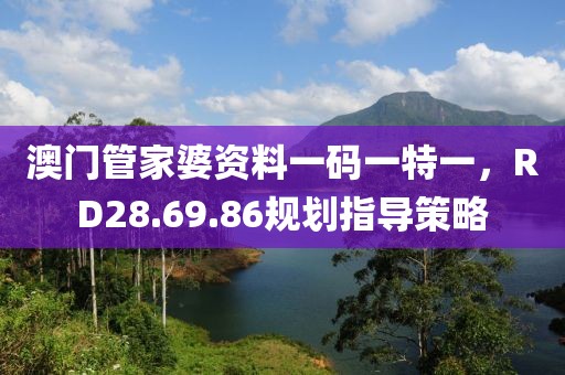 澳門管家婆資料一碼一特一，RD28.69.86規(guī)劃指導(dǎo)策略