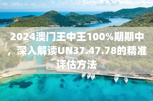 2024澳門王中王100%期期中，深入解讀UN37.47.78的精準評估方法