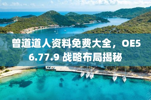 曾道道人資料免費(fèi)大全，OE56.77.9 戰(zhàn)略布局揭秘